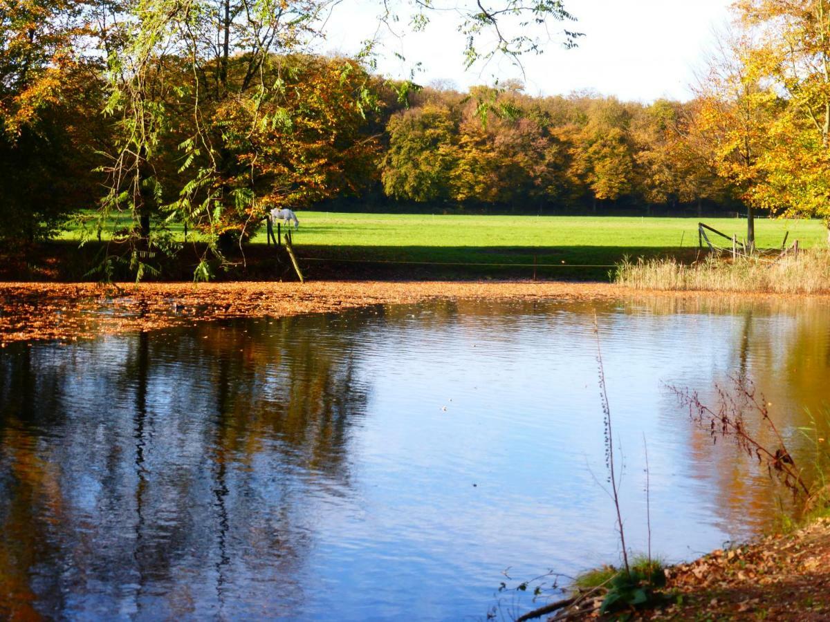 De Zanderij 's-Graveland Bagian luar foto